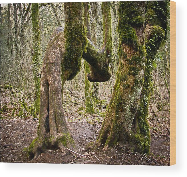 Trees Wood Print featuring the photograph Bad Back by Albert Seger