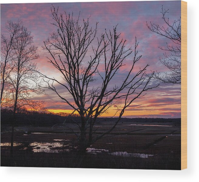 Barn Island Wood Print featuring the photograph Barn Island - Pawcatuck CT by Kirkodd Photography Of New England