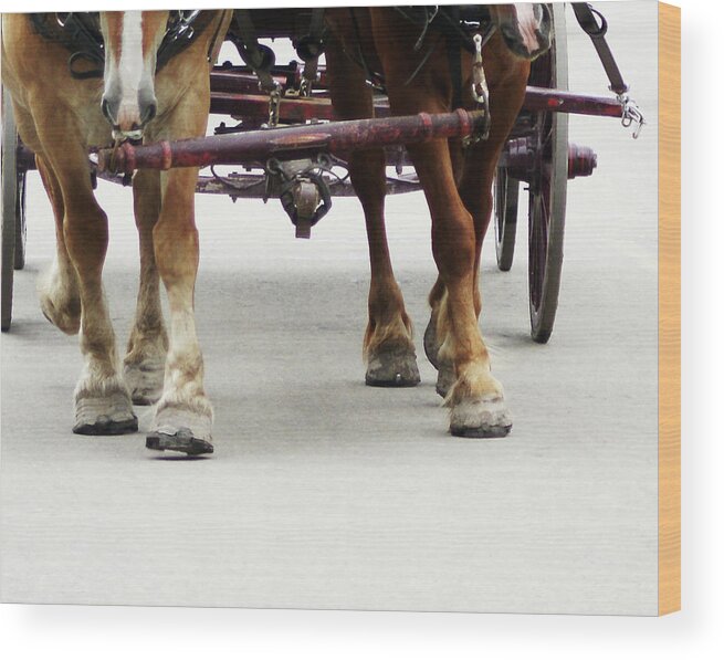 Horse Wood Print featuring the photograph Beast of Burden by Linda Shafer