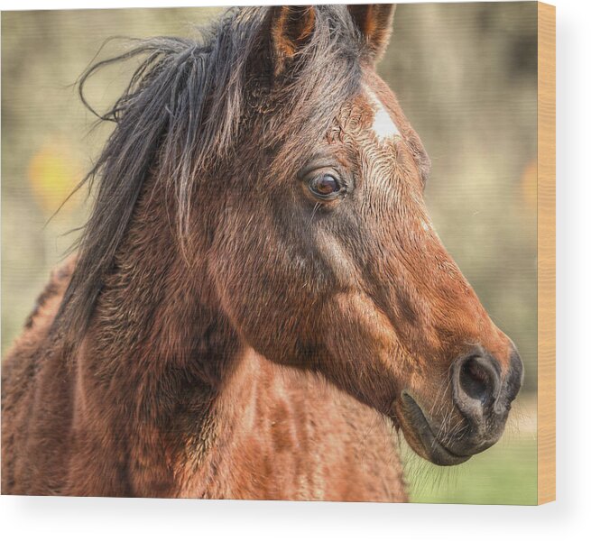 Equine Wood Print featuring the photograph Beauty by Kristina Rinell