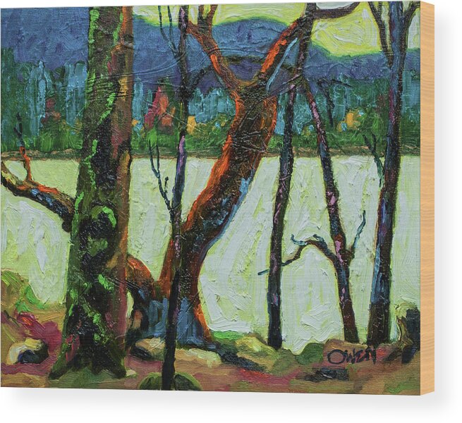 Madrona Tree Wood Print featuring the painting Becher Bay, Madrona and Yew by Rob Owen