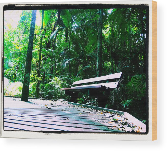 Bench. Nature Wood Print featuring the photograph Bench 2 by Michael Blaine