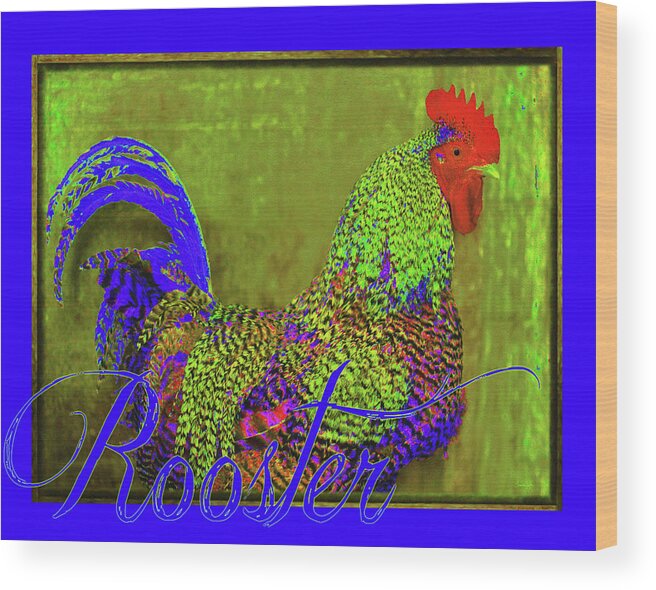 Cobalt Blue Wood Print featuring the photograph Bert the Rooster by Amanda Smith