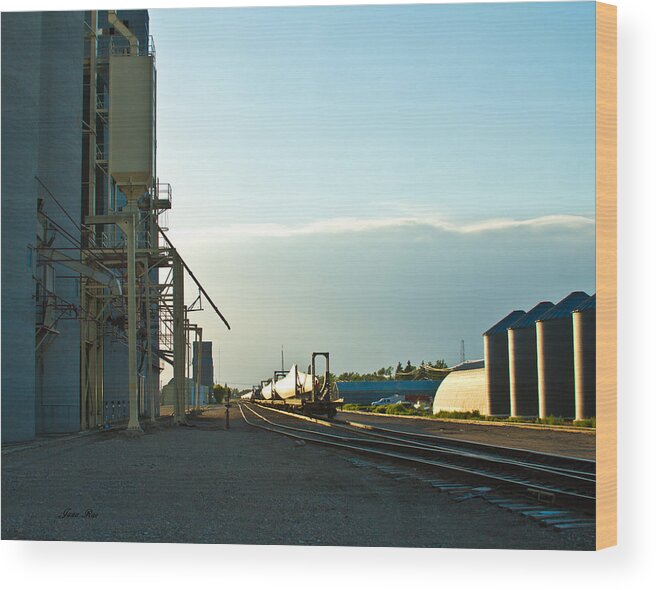 Rail Road Tracks Wood Print featuring the photograph Blades on the Rails 4 by Jana Rosenkranz