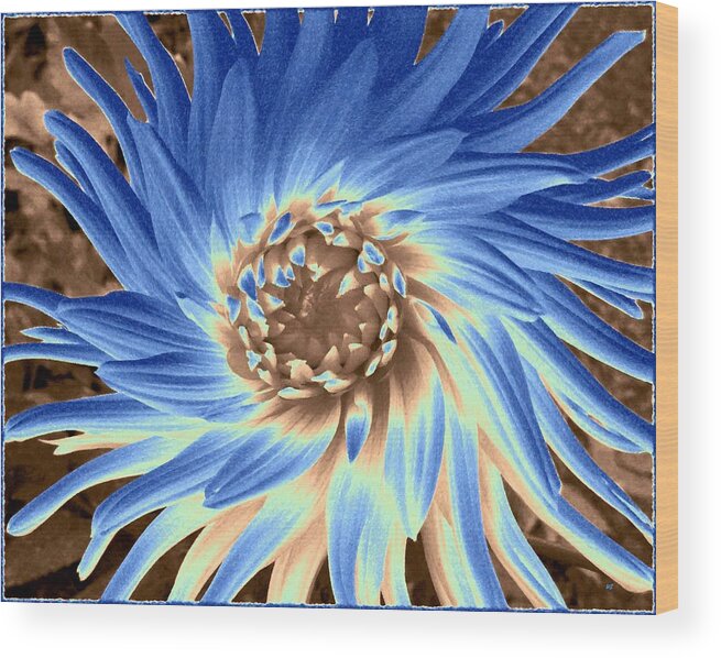 Blue Dahlia Abstract Wood Print featuring the digital art Blue Dahlia Abstract by Will Borden