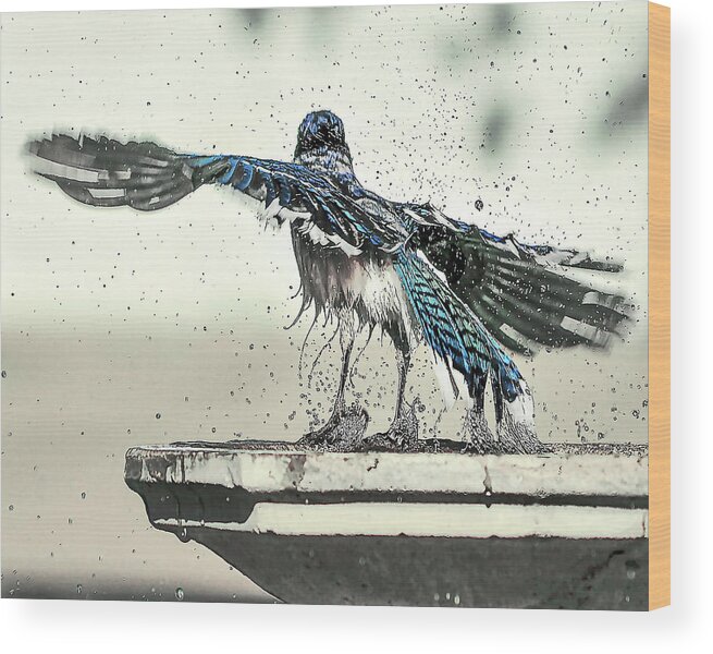 Nature Wood Print featuring the photograph Blue Jay Bath Time by Scott Cordell