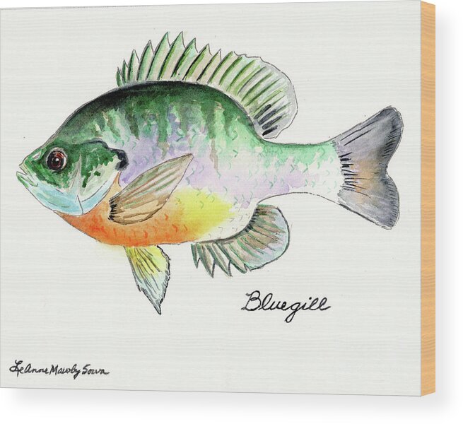 Bluegill Wood Print featuring the painting Bluegill Fish by LeAnne Sowa