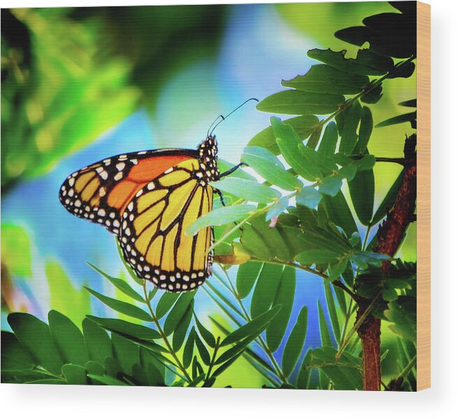 Monarch Wood Print featuring the photograph Botanical Monarch by Mark Andrew Thomas