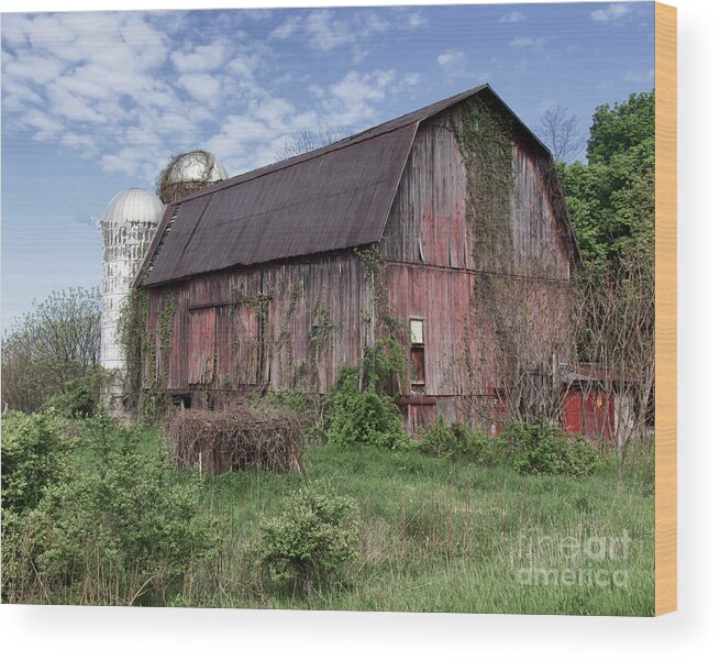 Barn Wood Print featuring the photograph Butler Barn by Rod Best