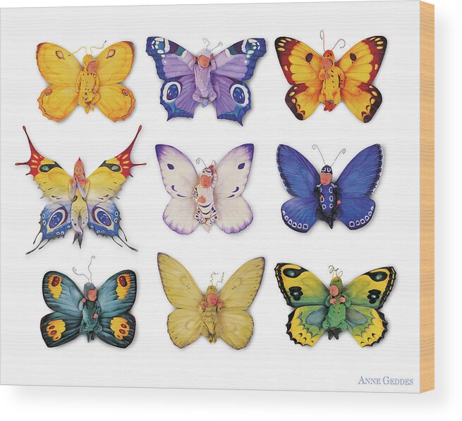 Butterfly Wood Print featuring the photograph Butterfly Babies by Anne Geddes
