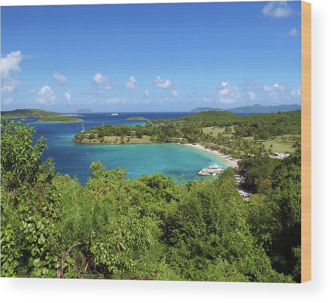 Caneel Bay Wood Print featuring the photograph Caneel Bay 1 by Pauline Walsh Jacobson