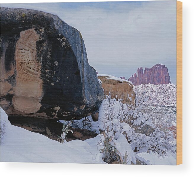 Canyonlands Wood Print featuring the photograph Canyonlands Swirl by Tom Daniel