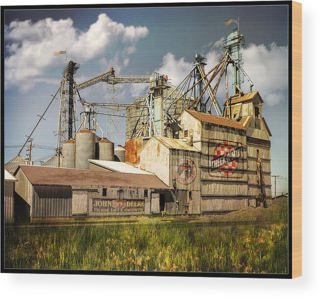 Landscape Wood Print featuring the photograph Castle Of Grain by John Anderson