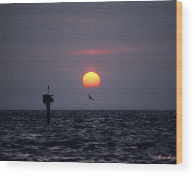 Sea Wood Print featuring the photograph Chesapeake Bay Osprey 14O by Gerry Gantt