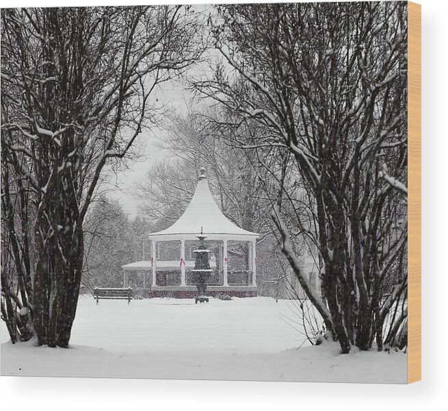 Vermont Wood Print featuring the photograph Christmas Season in the Park by Tim Kirchoff