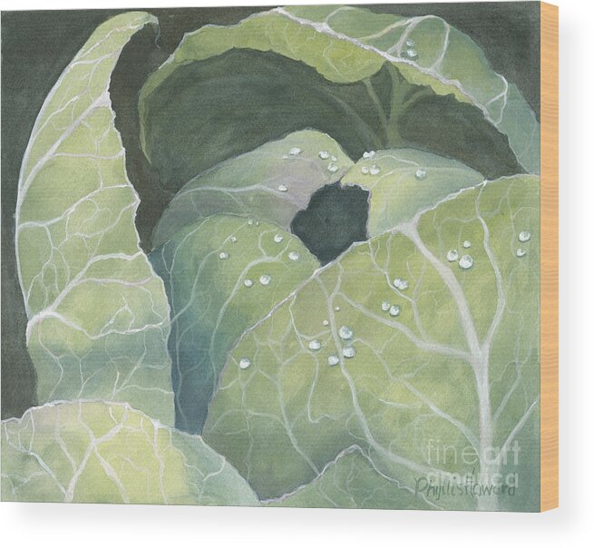 Cabbage Wood Print featuring the painting Cold Crop by Phyllis Howard