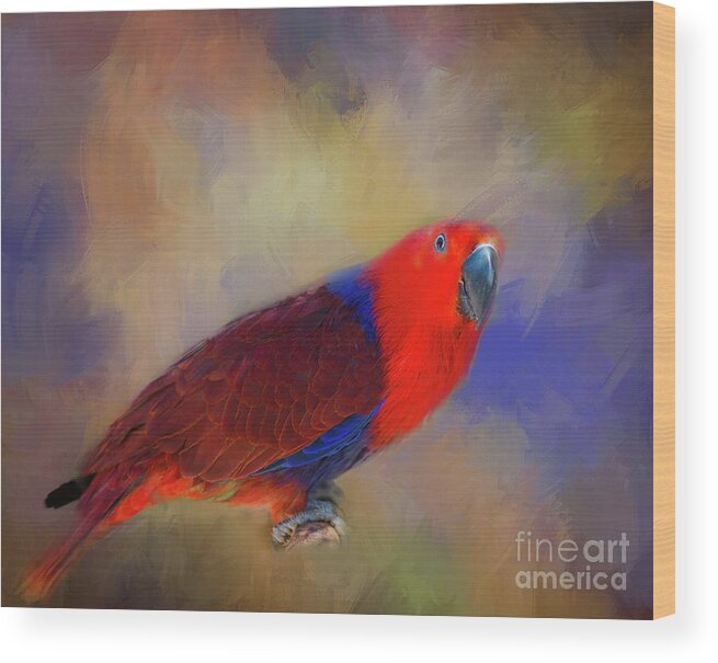 Eclectus Parrot Wood Print featuring the photograph Colorful and Attractive by Eva Lechner
