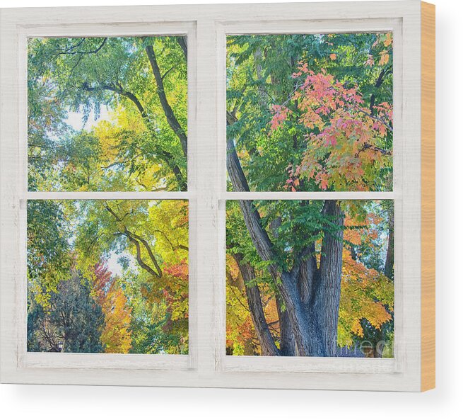Colorful Wood Print featuring the photograph Colorful Forest Rustic Whitewashed Window View by James BO Insogna