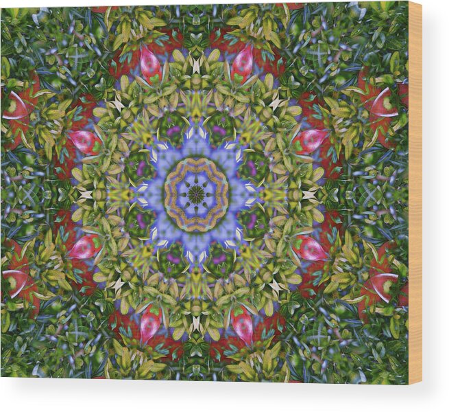 Circle Wood Print featuring the digital art Colorful Kaleidoscope Circle by Roy Pedersen