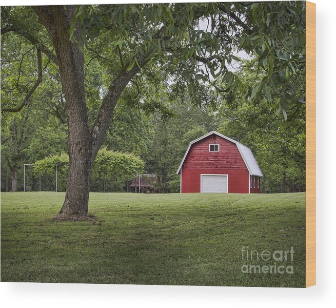 Lee's Pine Tree Acres Wood Print featuring the photograph Comfort Zone by Ken Johnson