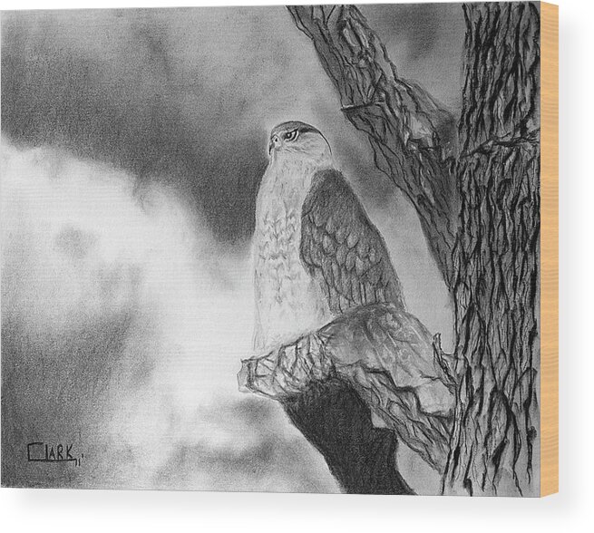 Birds Wood Print featuring the drawing Coming Storm by Wade Clark