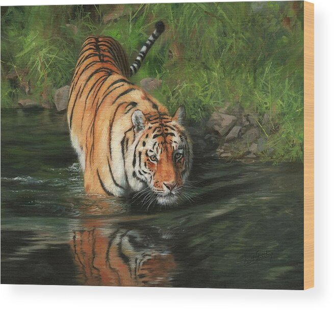 Tiger Wood Print featuring the painting Cool by David Stribbling