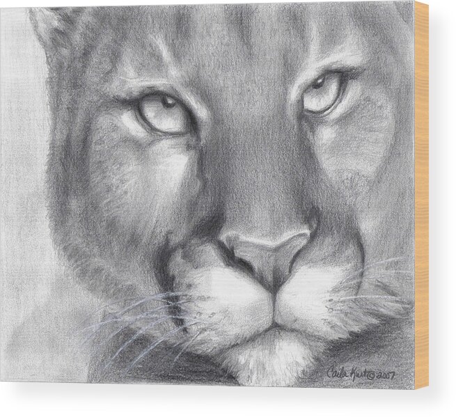Cougar Wood Print featuring the drawing Cougar Spirit by Carla Kurt