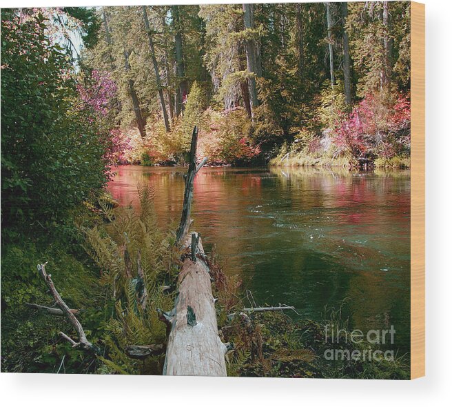 Fall Season Wood Print featuring the photograph Creek Fall by Peter Piatt