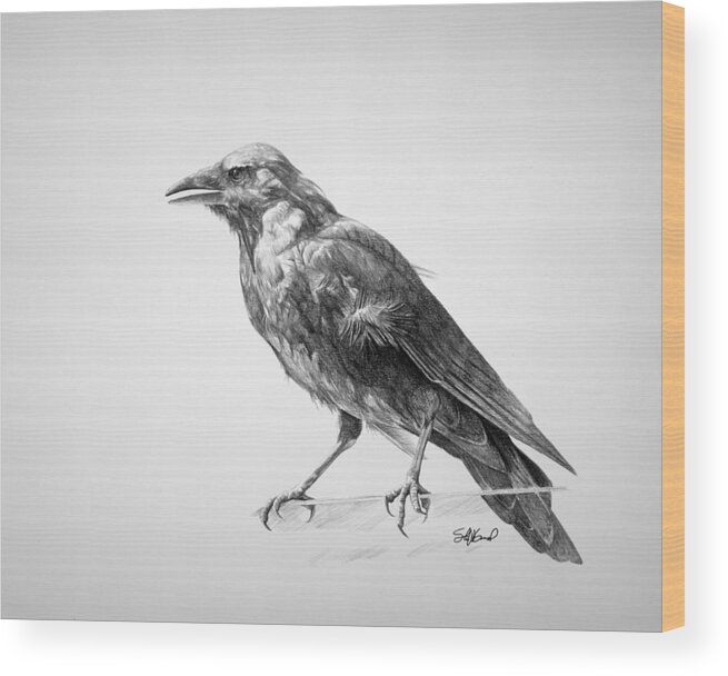 Crow Wood Print featuring the drawing Crow Drawing by Steve Goad