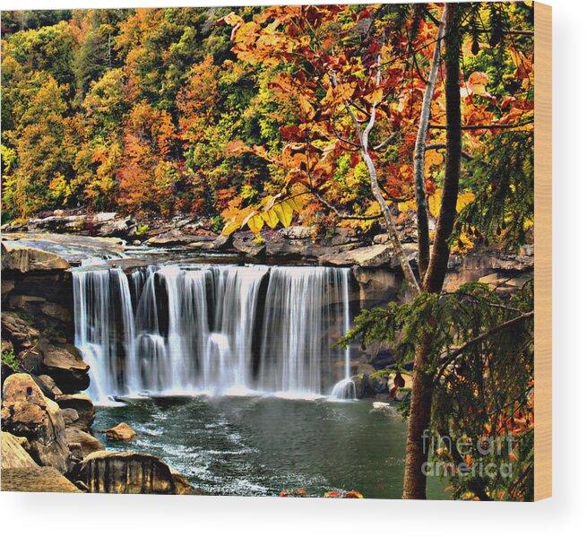 Waterfall Wood Print featuring the photograph Cumberland Falls by Ken Frischkorn