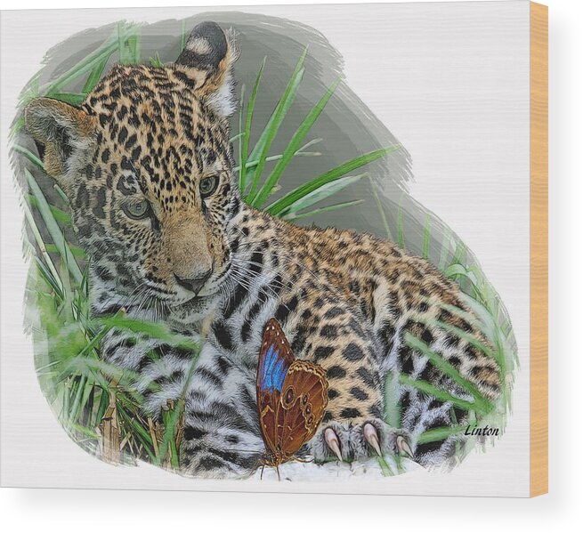 Jaguar Wood Print featuring the digital art Curious Cub by Larry Linton
