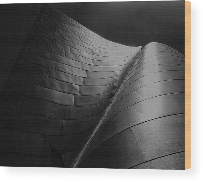Frank Gehry Wood Print featuring the photograph Curves Frank Gehry AIA by Chuck Kuhn