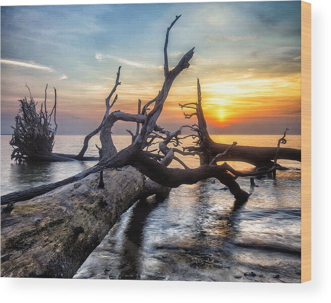 Sunrise Wood Print featuring the photograph Deadwood Morning by Alan Raasch