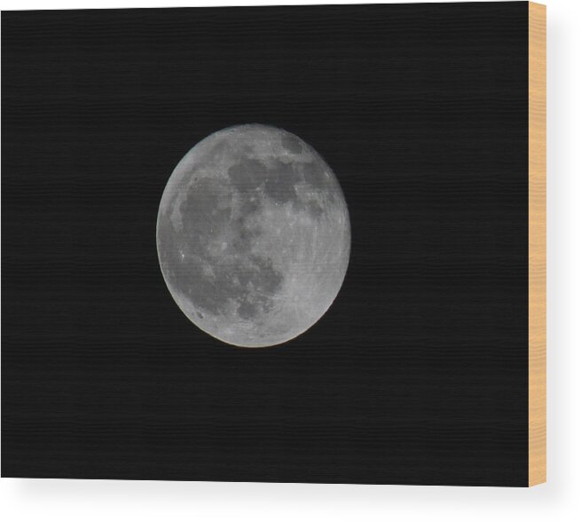Night View Wood Print featuring the photograph December Moon by Donna L Munro