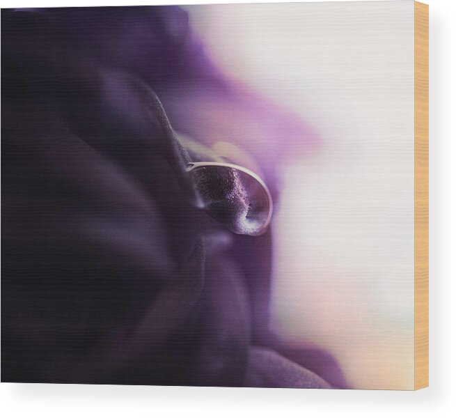Water Drop Wood Print featuring the photograph Deep Purple Velvet by Sue Capuano