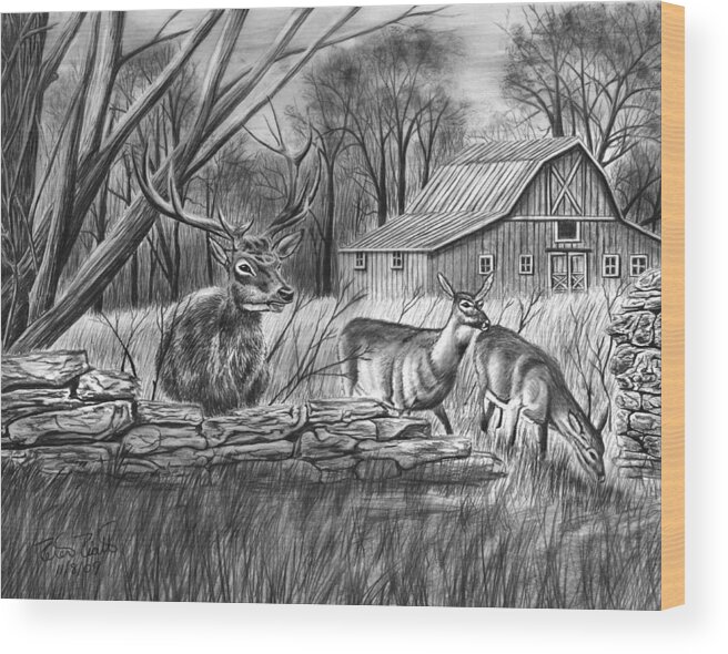 Deer Field Wood Print featuring the drawing Deer Field by Peter Piatt