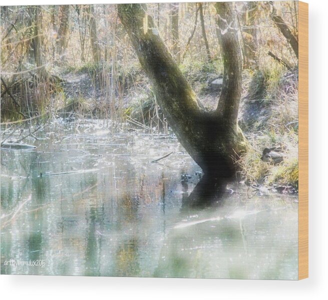 Degenried Wood Print featuring the photograph Degenried Switzerland by Mimulux Patricia No