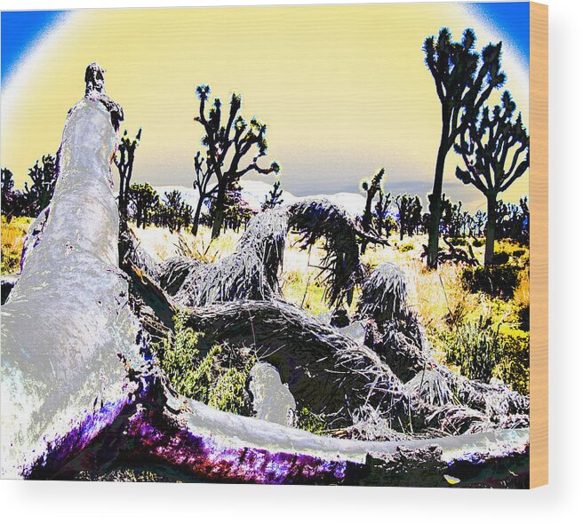 Desert Wood Print featuring the photograph Desert Landscape - Joshua Tree National Monment by Ann Tracy