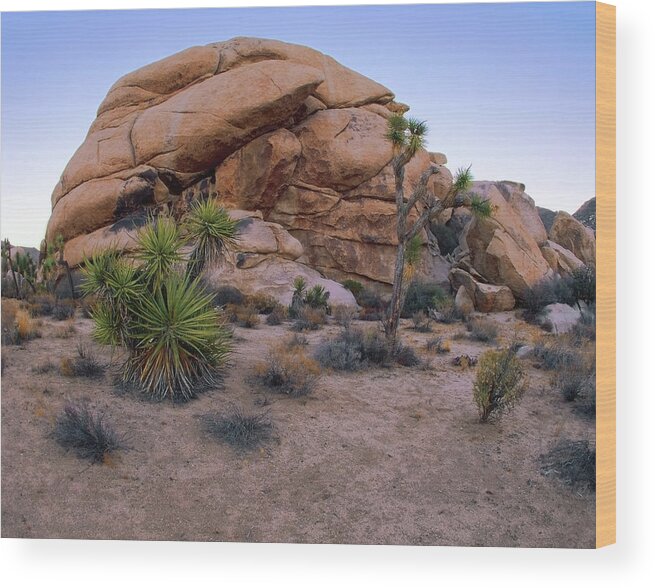 Rock Wood Print featuring the photograph Desert Tortoise Rock Formation by Paul Breitkreuz