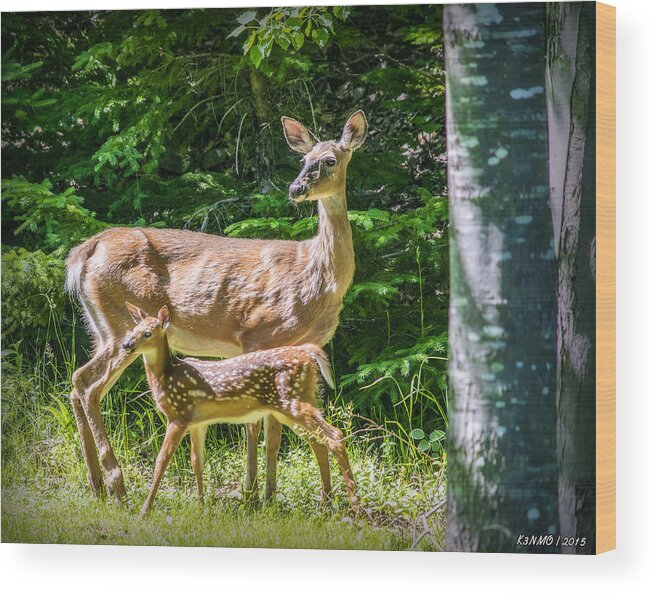 Deer Wood Print featuring the digital art Doe and Fawn by Ken Morris