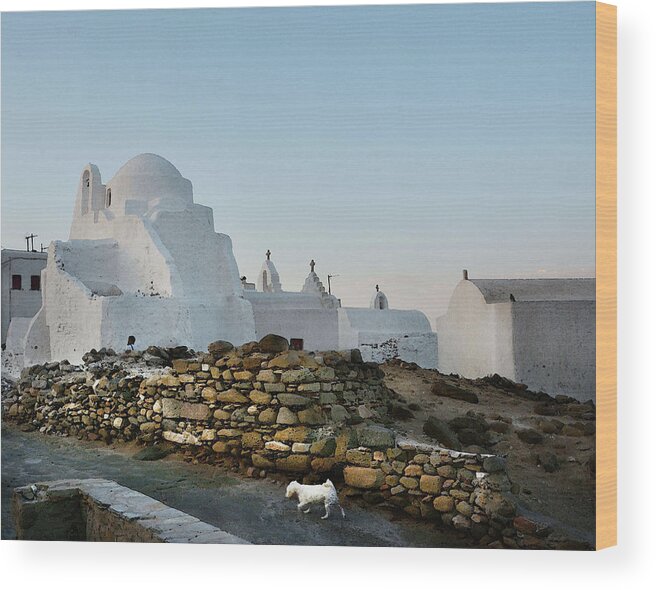 Mykonos Wood Print featuring the photograph Dog in Mykonos by Coke Mattingly