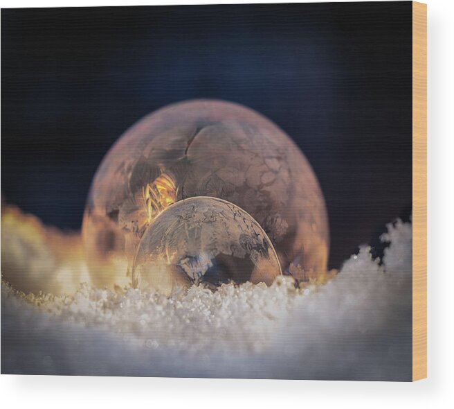 Frozen Wood Print featuring the photograph Double Bubbles by Brian Caldwell
