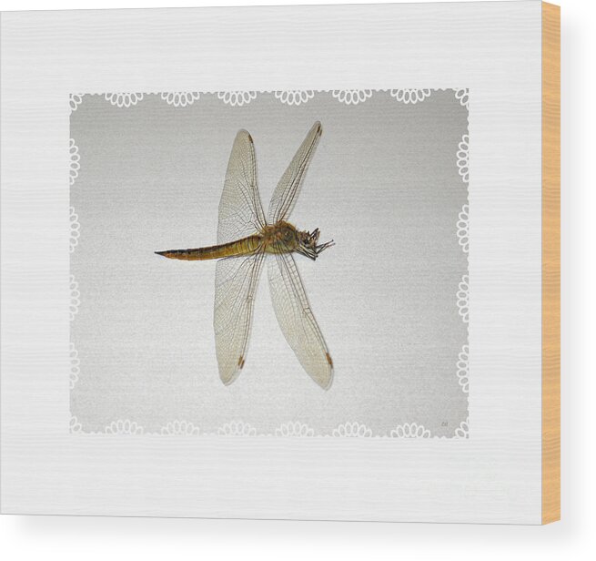 Dragonfly Wood Print featuring the photograph Dragonfly Collection. Image 5.5 by Oksana Semenchenko
