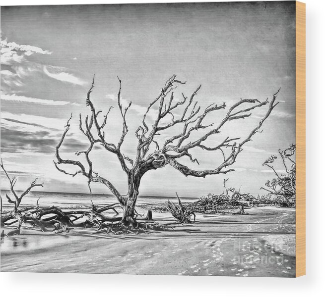 Driftwood Beach Wood Print featuring the photograph Driftwood Beach - Black and White by Kerri Farley