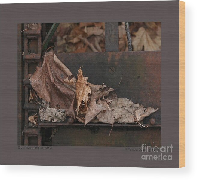 Abstract Wood Print featuring the photograph Dry Leaves and Old Steel-I by Patricia Overmoyer
