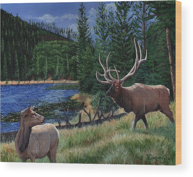 Tim Gordon Wood Print featuring the painting Elk at Beaver Lake Yellowstone by Timithy L Gordon