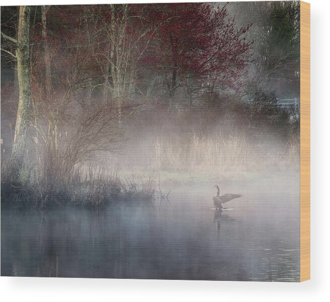 Goose Wood Print featuring the photograph Ethereal Goose by Bill Wakeley