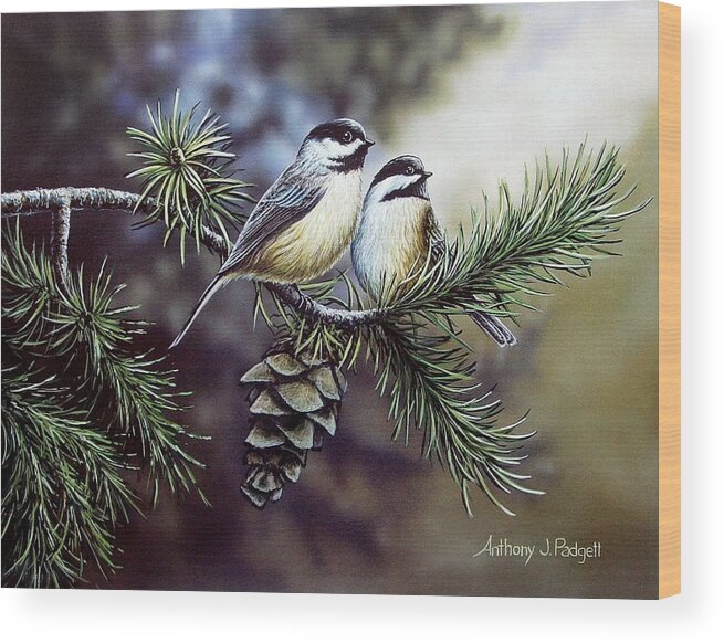 Chickadees Wood Print featuring the painting Evergreen Chickadees by Anthony J Padgett