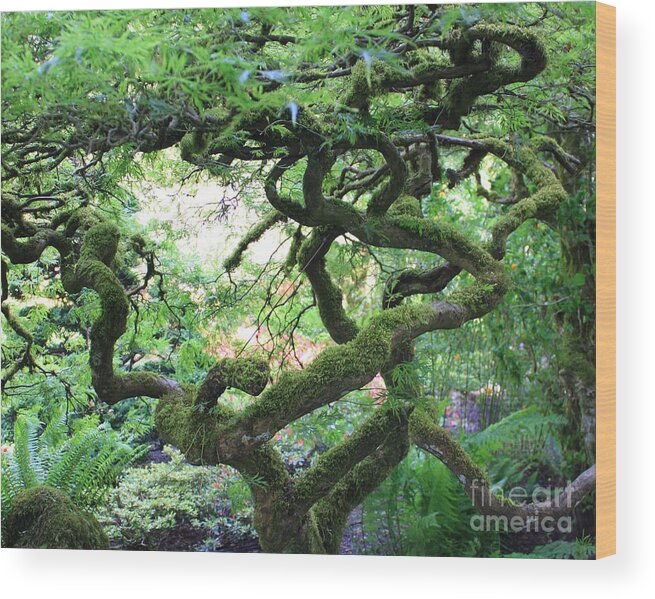 Crooked Tree Wood Print featuring the photograph Every Which Way by Carol Groenen