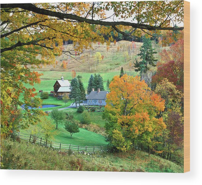 Landscape Wood Print featuring the photograph Farm and Fence Vermont by Joe Palermo